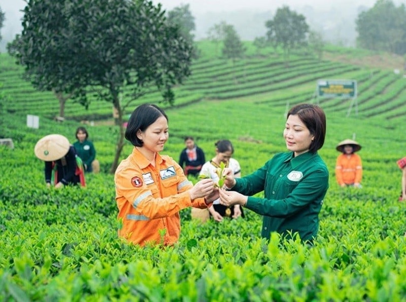 Việt Nam đề xuất xây dựng mạng lưới sản phẩm OCOP toàn cầu