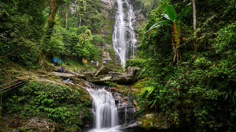 34 cộng đồng dân cư ở Nghệ An hưởng lợi từ nguồn thu từ giảm phát thải khí nhà kính của Vườn quốc gia Pù Mát