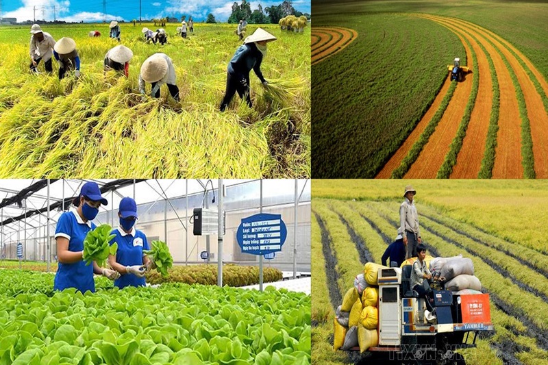 Xây dựng, phát triển nông nghiệp, nông dân, nông thôn Việt Nam trong giai đoạn mới