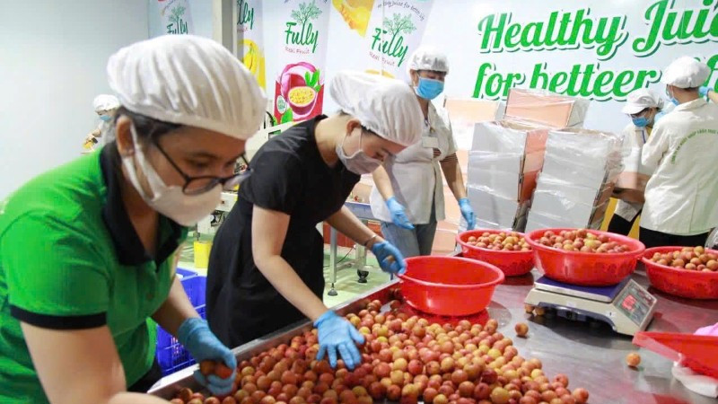 Tăng sức cạnh tranh cho nông sản mùa vụ