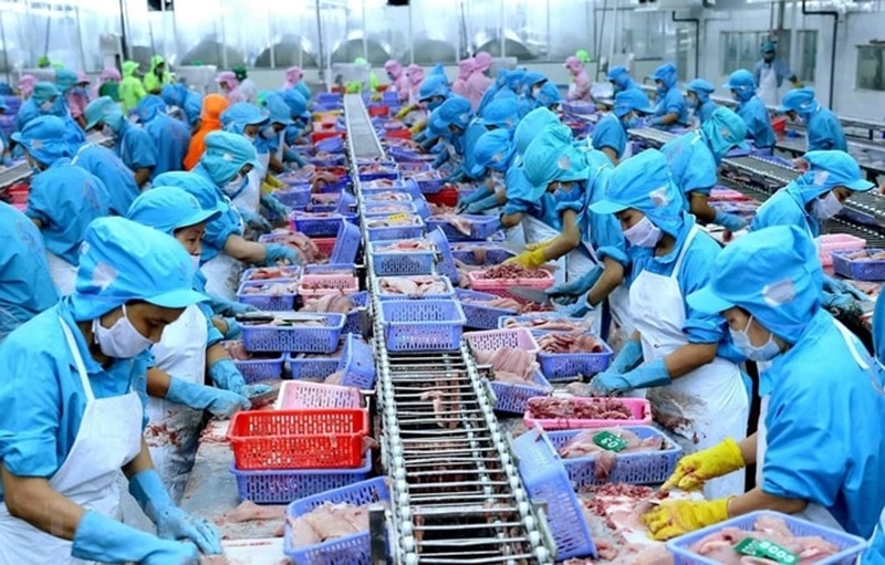 Thứ trưởng Phùng Đức Tiến: Khoa học công nghệ và chế biến là dư địa để ngành nông nghiệp tăng trưởng
