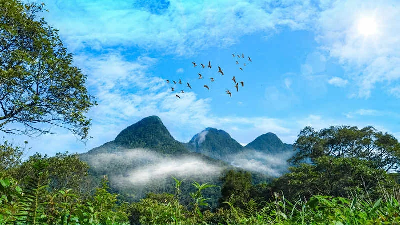 Thúc đẩy thành lập sàn giao dịch tín chỉ carbon