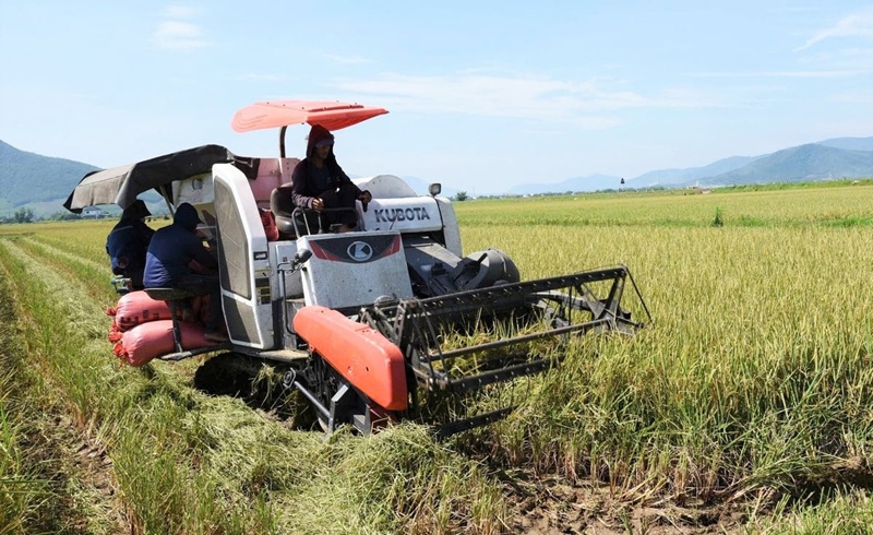 Gấp rút hoàn thiện thể chế, ứng phó kịp thời với biến động nông vụ