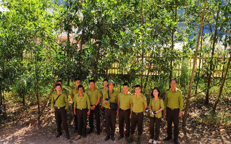 Bài cuối: Từ nền móng vững chắc đến kỳ vọng phát triển lâm nghiệp hiện đại, bền vững