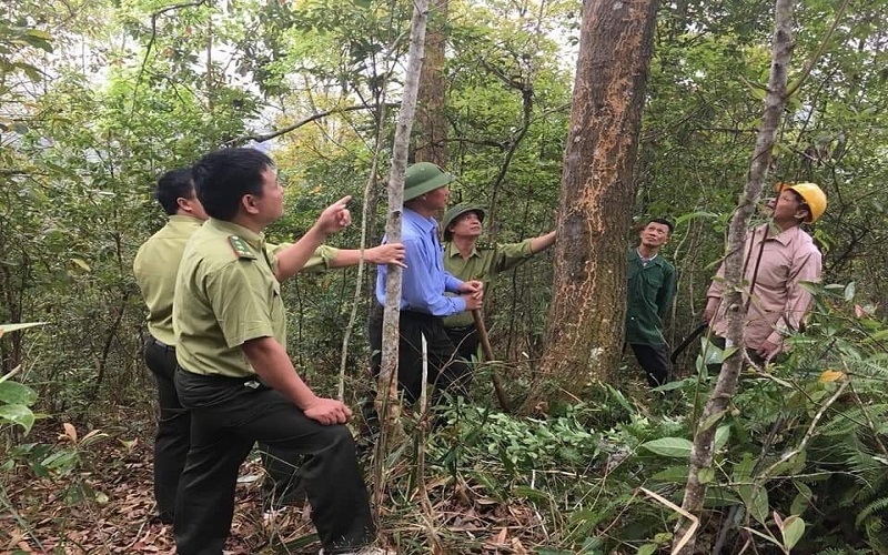Kiểm lâm Bắc Ninh: Dấu ấn 6 tháng đầu năm