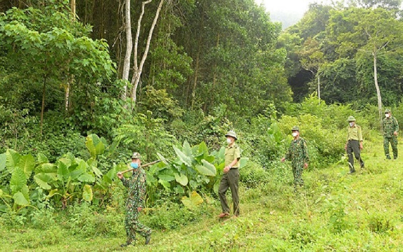 Kiểm lâm Yên Thế: Đẩy mạnh giám sát sử dụng và phát triển rừng