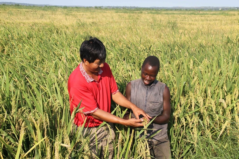 Việt Nam và Senegal ký Bản ghi nhớ thúc đẩy hợp tác nông nghiệp toàn diện