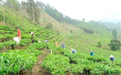 Bài 1: Thắp lửa vươn lên - Xóa dấu chân đói nghèo