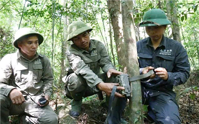 Bảo tồn động vật hoang dã nguy cơ tuyệt chủng