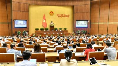 Bổ sung quy định về chính sách đất đai cho đồng bào dân tộc thiểu số
