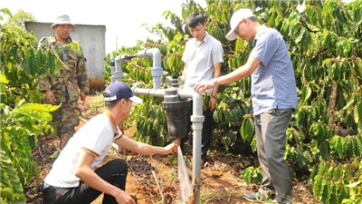 Cải tiến kỹ thuật canh tác, tăng năng suất cây trồng