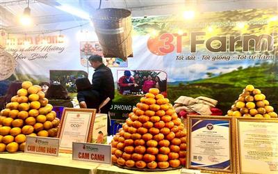 Cam 3T Farm Cao Phong: Mô hình tiêu biểu trong xây dựng thương hiệu nông sản và chuyển đổi số