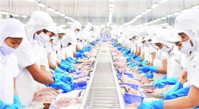 Cơ hội tái cấu trúc ngành hàng cá tra