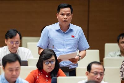 Đại biểu Quốc hội đề nghị quy định rõ về phân loại đất