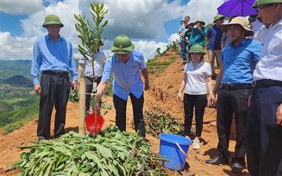 Điện Biên nỗ lực giảm nghèo bền vững: Từng bước nâng cao chất lượng đời sống người dân vùng cao