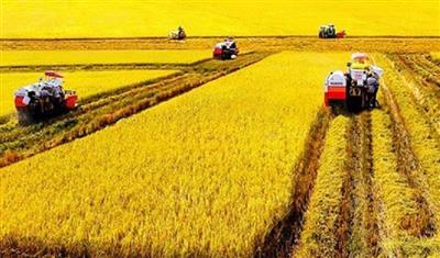 Bài 12: Hạn mức nhận chuyển nhượng, tập trung, tích tụ đất nông nghiệp