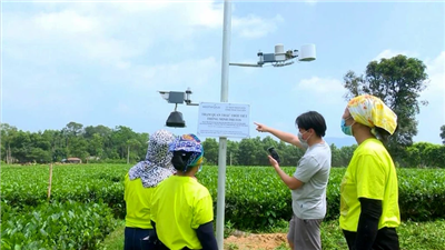 Hỗ trợ ứng dụng khoa học, công nghệ cho khu vực nông thôn, miền núi