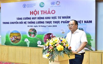 Hội thảo Tăng cường huy động khu vực tư nhân trong chuyển đổi hệ thống lương thực thực phẩm tại Việt Nam