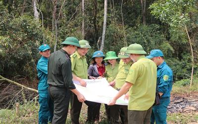 Kiểm lâm Sơn Động: Chủ động ứng phó, nâng cao hiệu quả quản lý, bảo vệ và phát triển rừng