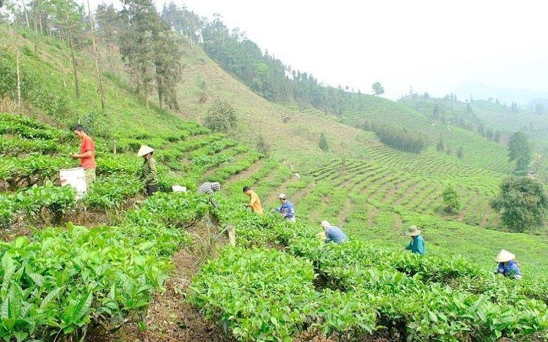 Bài 1: Thắp lửa vươn lên - Xóa dấu chân đói nghèo
