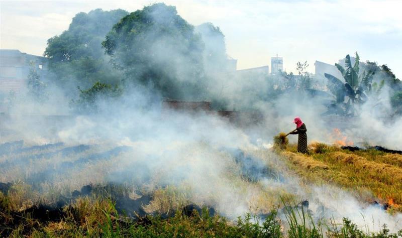 Bài 2: Giải pháp giảm phát thải mê-tan trong nông nghiệp và quản lý chất thải