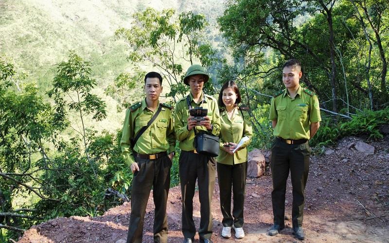 Bài cuối: Từ nền móng vững chắc đến kỳ vọng phát triển lâm nghiệp hiện đại, bền vững