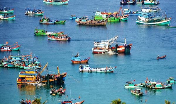Bản đồ Nghề cá trên biển: Giá trị, cấp bách và con đường hiện thực hóa