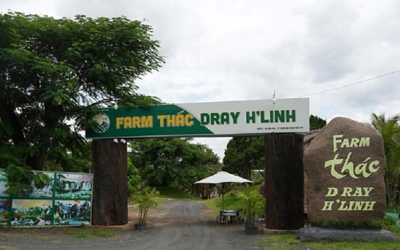 Đắk Lắk: Du lịch biển rừng, hội tụ giao thoa hướng tới phát triển kinh tế sau sát nhập