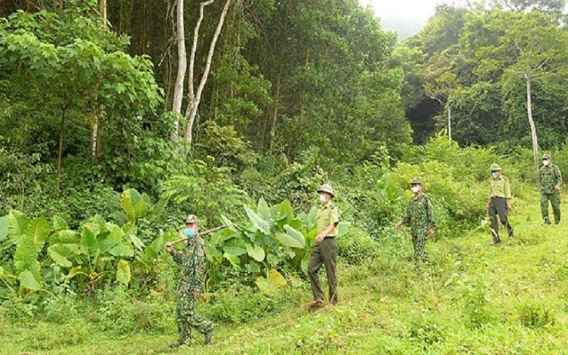 Kiểm lâm Yên Thế: Đẩy mạnh giám sát sử dụng và phát triển rừng