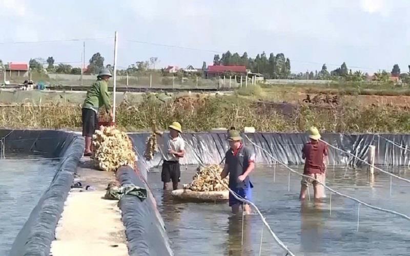 Kim Đông: Mô hình Hợp tác xã làm trụ cột xóa nghèo bền vững