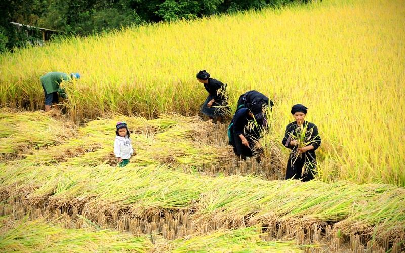 Những gương sáng trong hành trình giảm nghèo bền vững