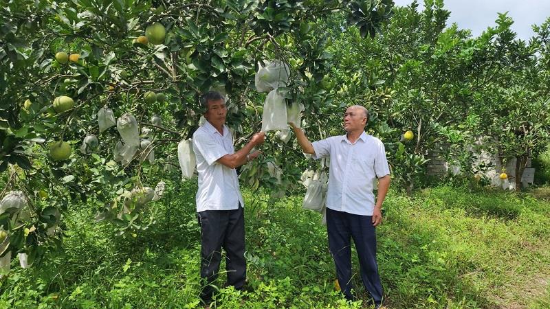 Sức mạnh cộng đồng trong xây dựng nông thôn mới, giảm nghèo bền vững ở Thanh Hóa