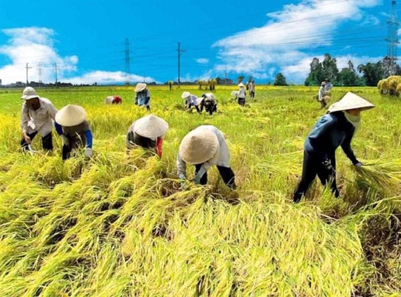 Không còn hộ nghèo theo chuẩn nghèo đa chiều TP. Hồ Chí Minh