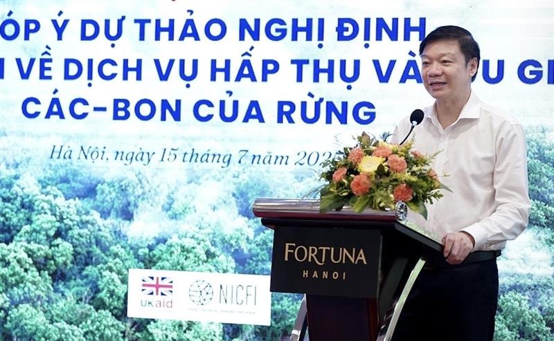 Xây dựng khung pháp lý để phát triển thị trường carbon rừng