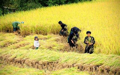 Những gương sáng trong hành trình giảm nghèo bền vững