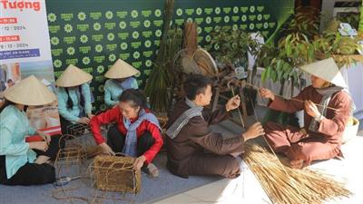 Phát triển kinh tế từ cỏ năn tượng