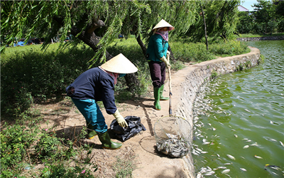 Quảng Trị: Cá chết bất thường ở hồ Nam Lý