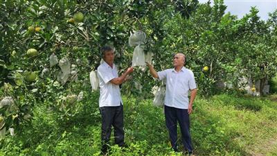 Sức mạnh cộng đồng trong xây dựng nông thôn mới, giảm nghèo bền vững ở Thanh Hóa