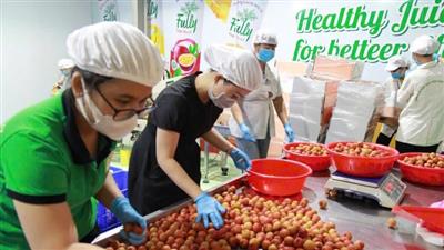 Tăng sức cạnh tranh cho nông sản mùa vụ