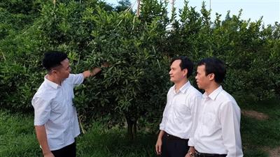Thanh Hóa: Nỗ lực toàn diện xóa đói giảm nghèo vùng miền núi