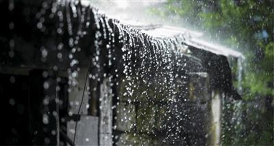 Thời tiết ngày 1/8: Nhiều địa phương có mưa rào và dông