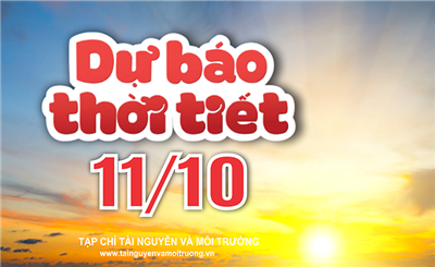 Thời tiết ngày 11/10: Mưa lớn khắp Trung Bộ. Miền Bắc chuẩn bị mưa lớn