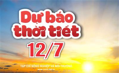 Thời tiết ngày 12/7: Phía Đông Bắc Bộ, Tây Phú Thọ, Thanh Hóa, Nghệ An cục bộ mưa to