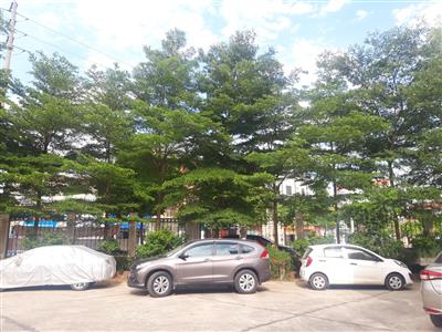 Thời tiết ngày 19/7: Bắc Bộ và Trung Bộ có nắng nóng, từ đêm nay sẽ có mưa dông diện rộng