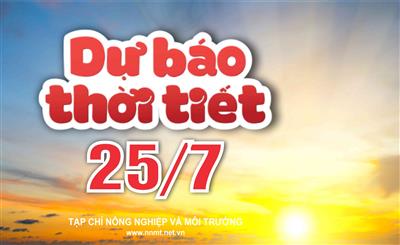 Thời tiết ngày 25/7: Nhiều khu vực trên cả nước mưa to đến rất to