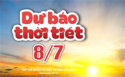 Thời tiết ngày 8/7: Vùng núi Bắc Bộ, Cao nguyên Trung Bộ và Nam Bộ cục bộ mưa to