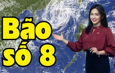 Tin mới nhất về cơn bão trên biển Đông: Cơn bão số 8
